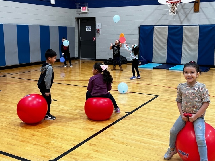 students playing in gym
